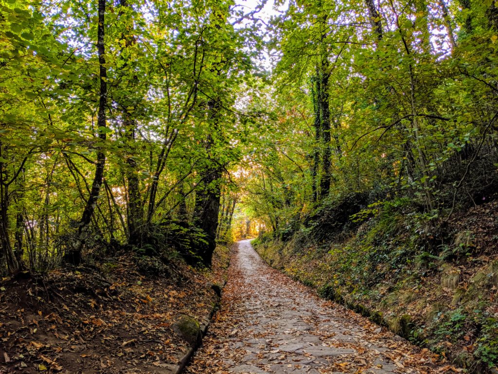 Early fall along the Via Sacra