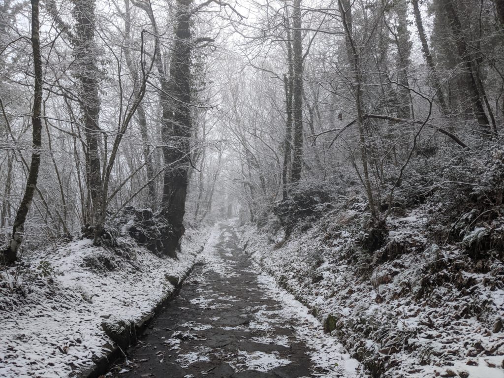 Snow on Via Sacra